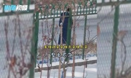 消防部门吃瓜,揭秘背后的消防员日常趣闻