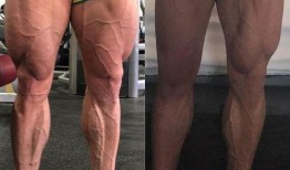 健身阿诺吃瓜,揭秘健身圈背后的趣味故事