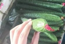 邢台建材圈吃瓜,揭秘行业“吃瓜”背后的真相与内幕