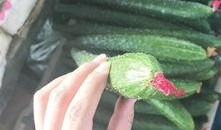 邢台建材圈吃瓜,揭秘行业“吃瓜”背后的真相与内幕