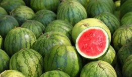 吃瓜视频挖东西,娱乐圈背后的那些事儿