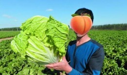 山东红衣女吃瓜,揭秘网络热议背后的真相