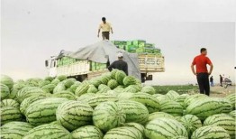 金城澜湾吃瓜,吃瓜群众揭秘网红社区背后的故事