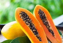 大logo 吃井冈蜜瓜,大logo下的甜蜜诱惑