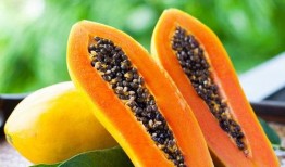 大logo 吃井冈蜜瓜,大logo下的甜蜜诱惑