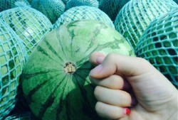 吃网瓜的好坏区别,一网打尽品质与口感差异