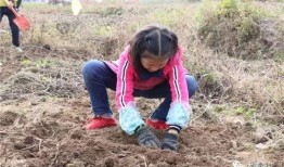 吃瓜视频挖东西,娱乐圈背后的那些事儿