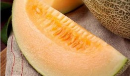 雨天吃瓜视频,一场别开生面的雨天吃瓜盛宴