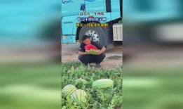 吃瓜会拉肚子,揭秘吃瓜引发拉肚子的真相