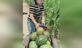 吃瓜广西女子,揭秘背后真相与网络舆论风暴