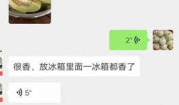 吃瓜网匹配线路,热门线路匹配攻略，轻松解锁旅行新体验