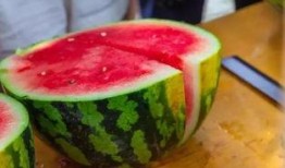 鱼吃瓜热量,热量转换的奇妙之旅