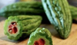 中医吃瓜日常 九零,吃瓜日常里的健康智慧