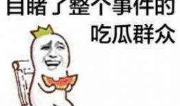 吃瓜安排,一场别开生面的吃瓜盛宴