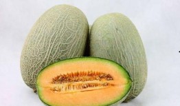 唇炎吃哈密瓜,哈密瓜助力缓解唇炎困扰