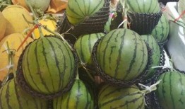 浚县吃瓜最新,探寻地方特色美食之旅