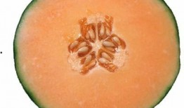 哪个民族吃哈密瓜,新疆维吾尔族与哈密瓜的甜蜜渊源