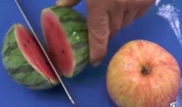 瓜被蜜蜂吃,自然界的甜蜜邂逅