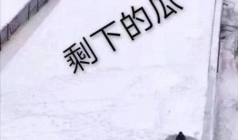 在吃瓜前线的人,揭秘娱乐圈幕后风云