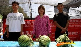 河北科技吃瓜,吃瓜群众揭秘科技界幕后故事