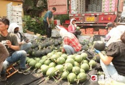 在吃瓜前线的人,揭秘娱乐圈幕后风云