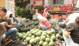 在吃瓜前线的人,揭秘娱乐圈幕后风云