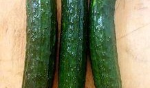 脆瓜什么时候吃,脆瓜的最佳食用时机揭秘