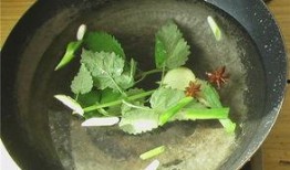 瓠瓜煮水吃,古老食疗方，养生保健新选择