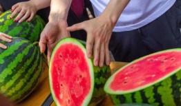 学院跳舞吃瓜,学院里的欢乐时光