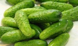 半秋吃瓜,探寻瓜果美食的甜蜜时光