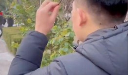 看到别人吵架吃瓜,一场激烈争吵背后的吃瓜众生相