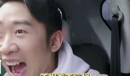 明星吃瓜聊天软件,揭秘吃瓜聊天软件背后的娱乐风云