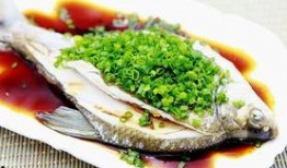 鱼吃瓜热量,热量转换的奇妙之旅