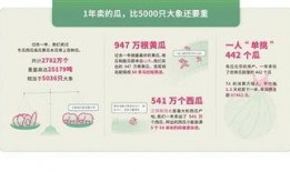 在家吃瓜消费报告,揭秘居家娱乐新趋势