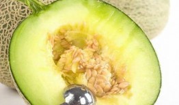 吃瓜能吃蜜瓜吗,吃瓜也能吃出蜜瓜的甜蜜滋味