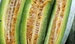 胃不好可以吃羊角酥瓜吗,健康美味两不误