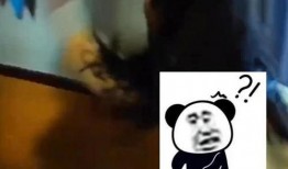 吃瓜老婆出轨,揭秘婚姻背后的真相与反思