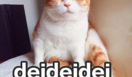 吃瓜机智的感悟,洞察世间百态的趣味解读