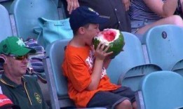 小朋友吃瓜群众,小朋友吃瓜群众的故事