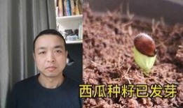 小伙电梯吃瓜遇吵架,目睹激烈争吵引热议