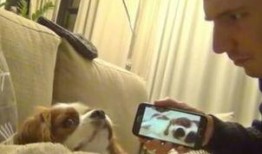 吃瓜狗愣住,揭秘娱乐圈惊人内幕