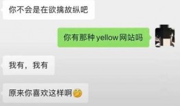 吃瓜群众 聊天记录,揭秘娱乐圈幕后故事