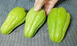 贵州佛手瓜怎么吃,贵州佛手瓜的多样食法探索