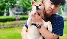 张嘴吃蘑菇呆瓜,呆瓜的奇幻冒险之旅