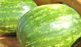 卓大王吃瓜头像,揭秘娱乐圈幕后风云