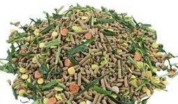 兔瓜叶子可以吃吗,可食用植物的探索之旅