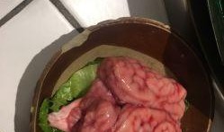 吃脑花的瓜,揭秘“吃脑花瓜”的独特风味