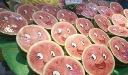 吃瓜打包,轻松应对各种场合