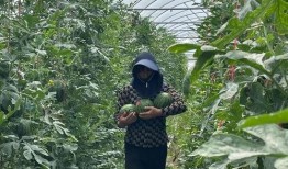 西秀吃瓜,揭秘娱乐圈幕后故事