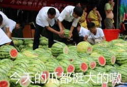 实锤吃瓜,揭秘娱乐圈那些不为人知的幕后真相